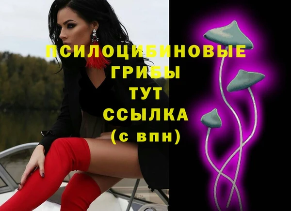 мескалин Богданович