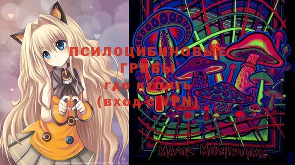 мдма Богородицк