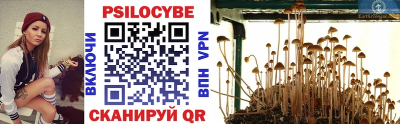 купить   МЕГА маркетплейс  Псилоцибиновые грибы мухоморы  Мирный 